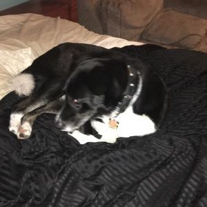 Meet your Posher, Jackson